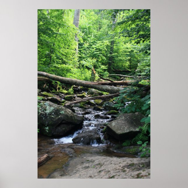 Dark Hollow Falls #4904 Poster (Front)