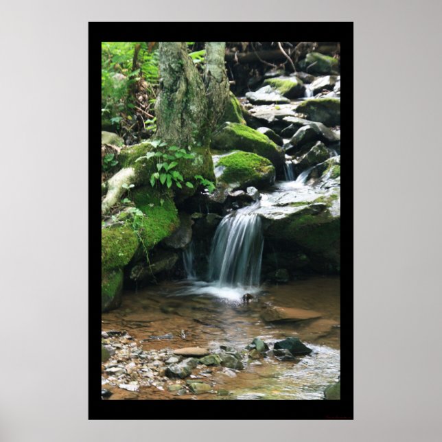 Dark Hollow Falls Print #4838 (Front)