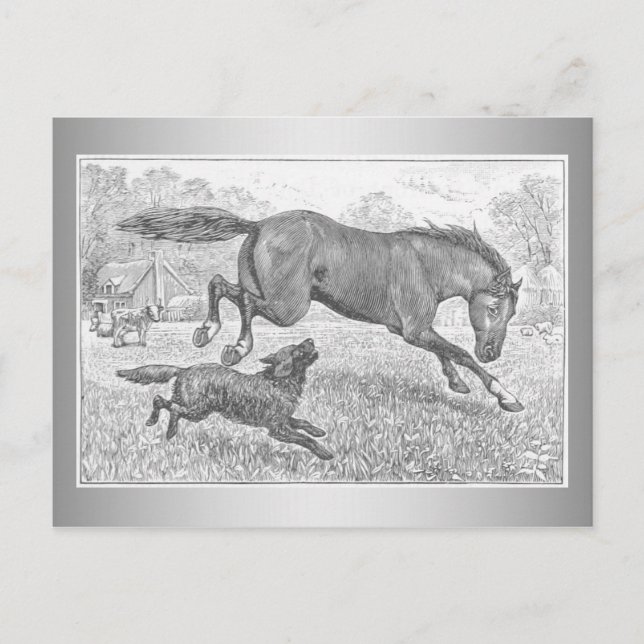 Dark Horse and Dog Postcard (Front)