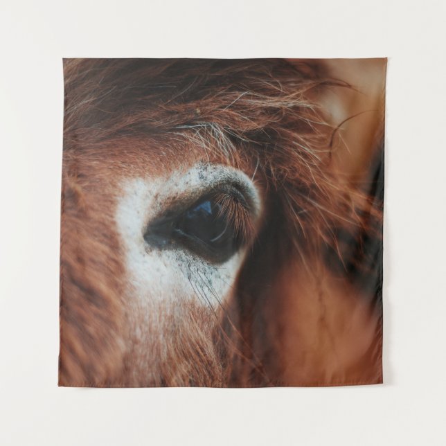 DARK HORSE EYE TAPESTRY (Front)