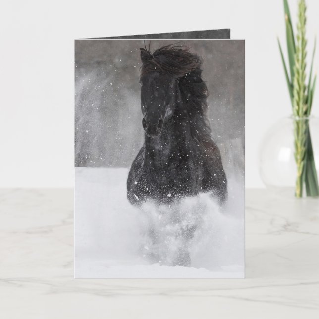 Dark Horse Runs in the Snow II Horse Greeting Card (Front)