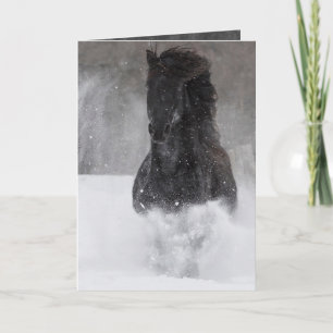 Dark Horse Runs in the Snow II Horse Greeting Card