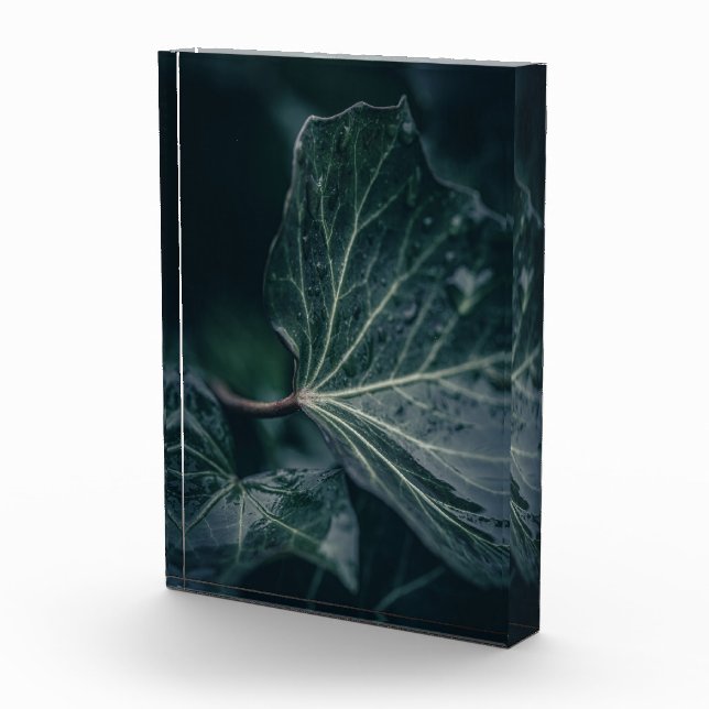 Dark Ivy Leaf Nature Photo Block (Right)