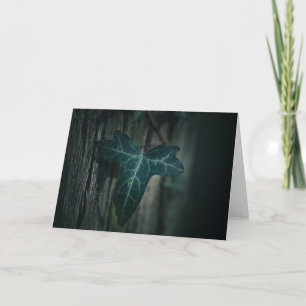 Dark Ivy Leaf Nature Photo Card