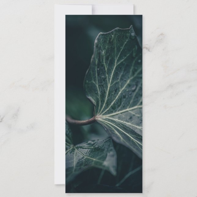 Dark Ivy Leaf Nature Photo Card (Front)