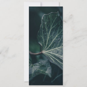 Dark Ivy Leaf Nature Photo Card