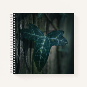 Dark Ivy Leaf Nature Photo Notebook