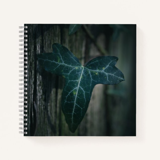 Dark Ivy Leaf Nature Photo Notebook (Front)