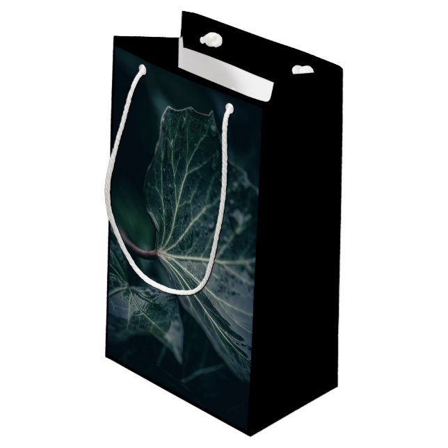 Dark Ivy Leaf Nature Photo Small Gift Bag (Back Angled)