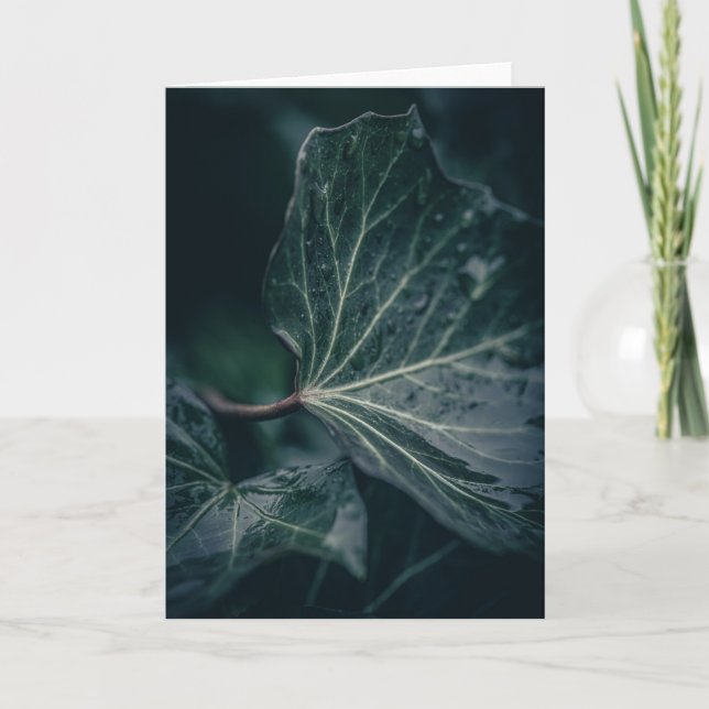 Dark Ivy Leaf Nature Photograph Card (Front)