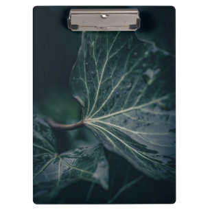 Dark Ivy Leaf Nature Photograph Clipboard