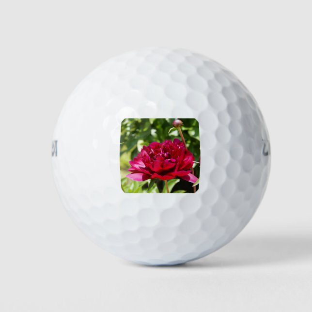 Dark Maroon velvet peonies Golf Balls (Front)