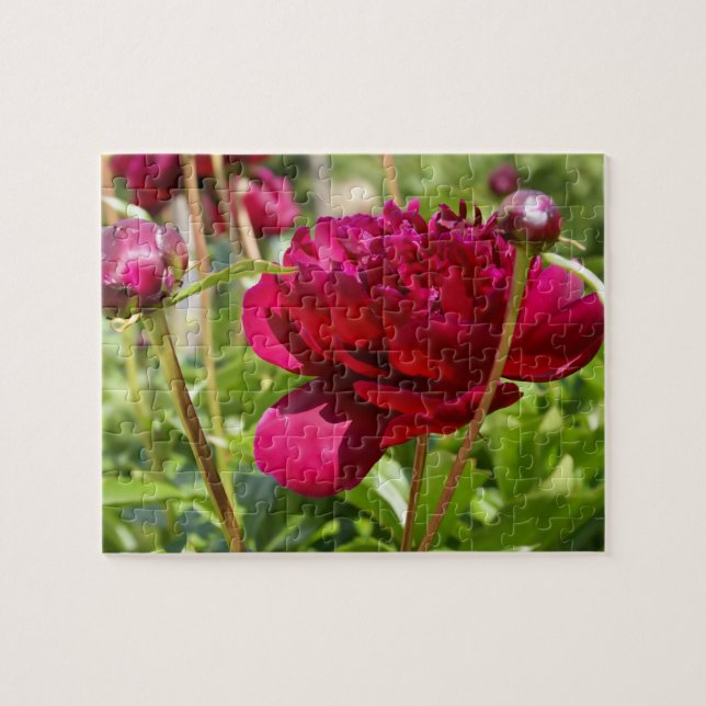 Dark Maroon velvet peonies Jigsaw Puzzle (Horizontal)