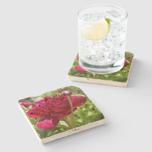 Dark Maroon velvet peonies  Stone Coaster