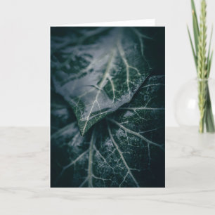 Dark Moody Ivy Floral Nature Photograph Card