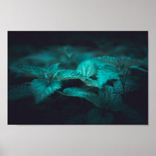 Dark Moody Stinging Nettle Nature Photo Poster