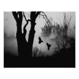 Dark Mysterious Forest Crows Photo Print