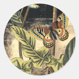 Dark Nature Scene by Vision Studio Classic Round Sticker