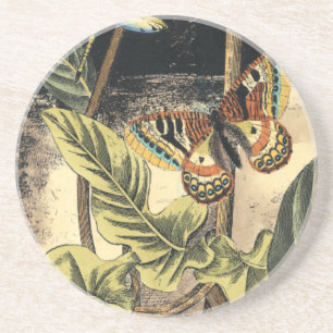 Dark Nature Scene by Vision Studio Coaster