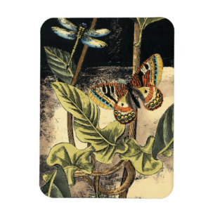 Dark Nature Scene by Vision Studio Magnet