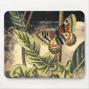 Dark Nature Scene by Vision Studio Mouse Pad