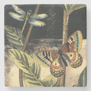 Dark Nature Scene by Vision Studio Stone Coaster