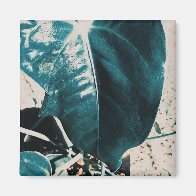 Dark Off Green Plant Leaf Magnet (Front)