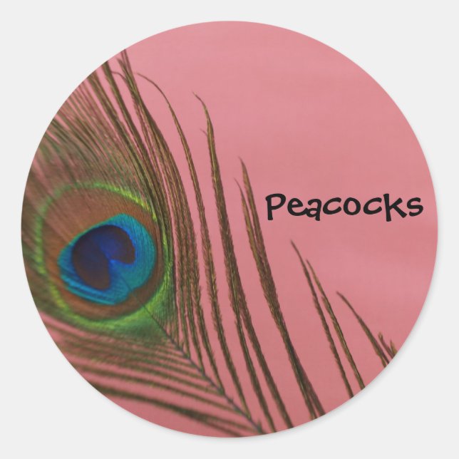Dark Peacock Feather Classic Round Sticker (Front)