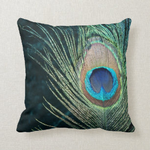 Dark Peacock Feather Cushion