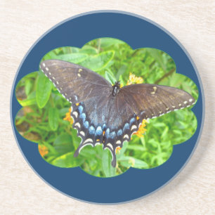 Dark Phase Tiger Swallowtail Butterfly Coaster