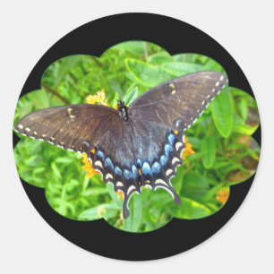 Dark Phase Tiger Swallowtail Butterfly Items Classic Round Sticker