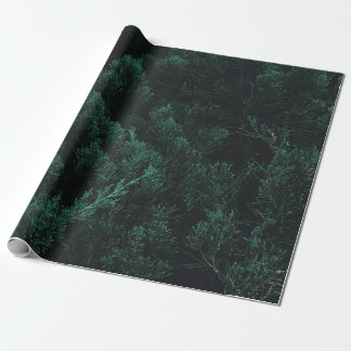 Dark pine forest  wrapping paper