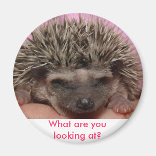 dark pink 3, What are you looking at? Magnet