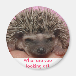 dark pink 3, What are you looking at? Magnet