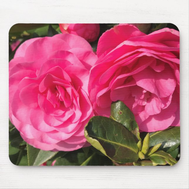Dark pink Camellia Flowers  Mouse Pad (Front)