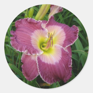 Dark Pink Daylilly stickers 1 1/2 inch (20)