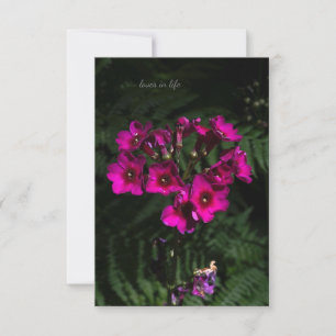 Dark Pink Flower with Ferns Card