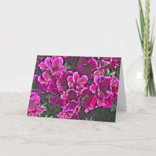 Dark Pink Geraniums Card