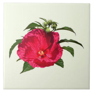 Dark Pink Hibiscus Ceramic Tile