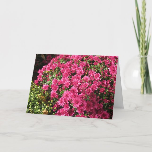 Dark Pink Mums  Card (Front)