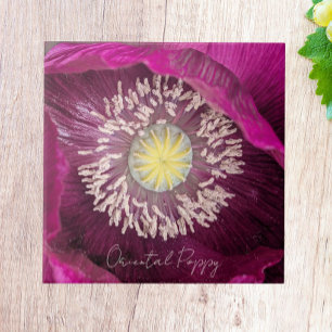 Dark Pink Oriental Poppy Floral Ceramic Tile