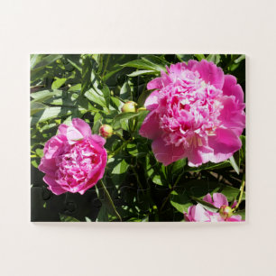 Dark pink peonies jigsaw puzzle