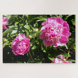 Dark pink peonies jigsaw puzzle