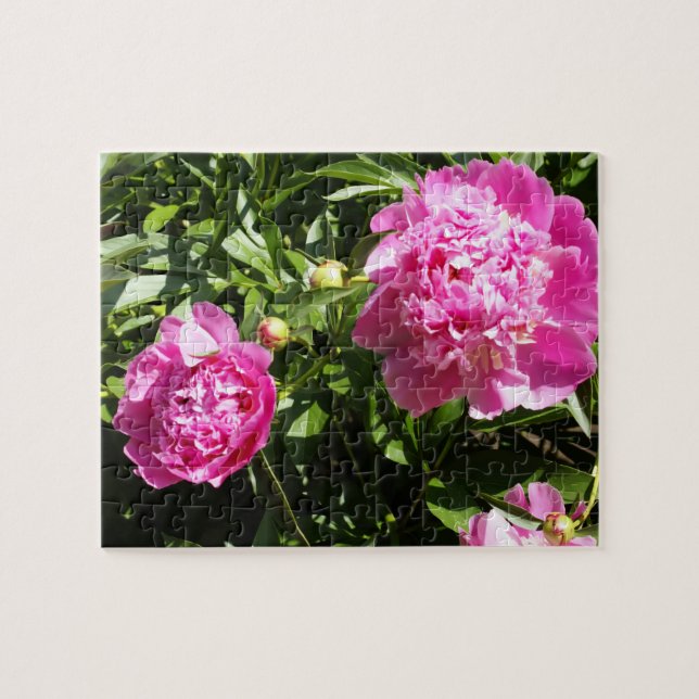 Dark pink peonies jigsaw puzzle (Horizontal)