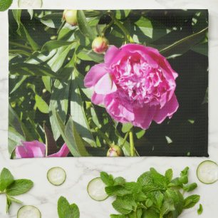 Dark pink peonies  tea towel