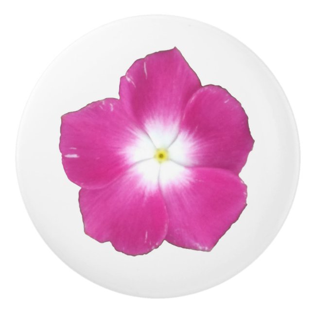 Dark Pink Phlox Ceramic Knob (Front)