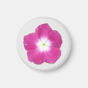 Dark Pink Phlox Magnet