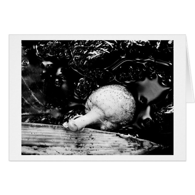 dark protector (Front Horizontal)