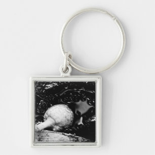 dark protector key ring