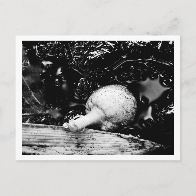 dark protector postcard (Front)